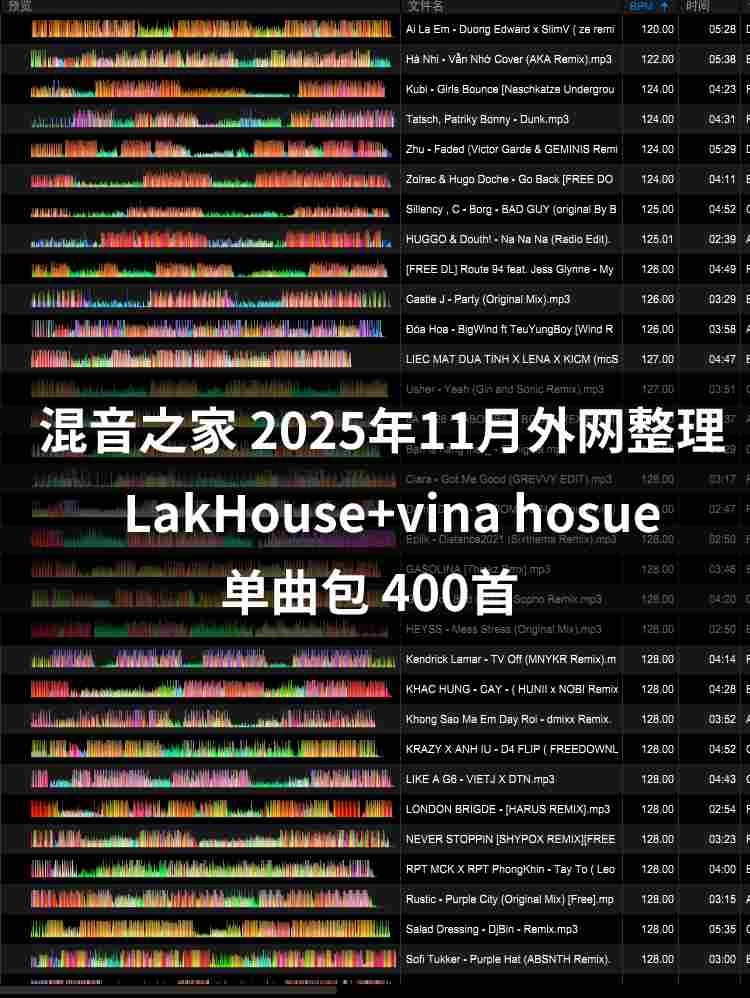 2025年11月外网整理 LakHouse+vina hosue 400首 专业dj打碟音乐包